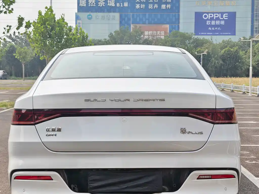 BYD Qin PLUS — фото 5