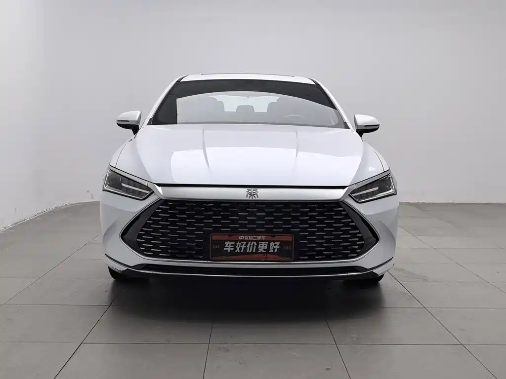 BYD Qin PLUS — фото 3
