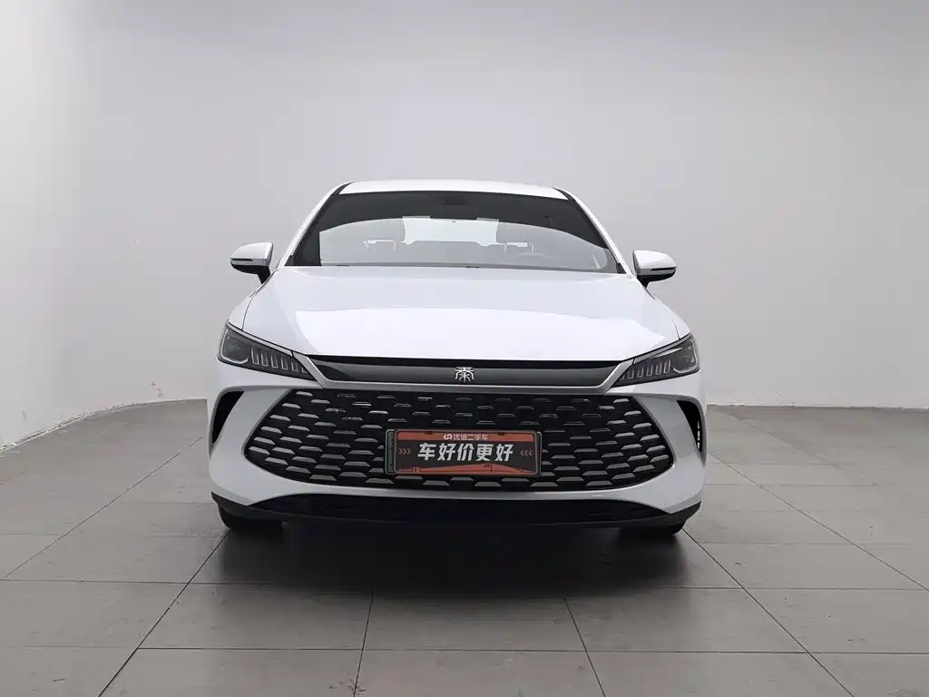 BYD Qin PLUS — фото 3