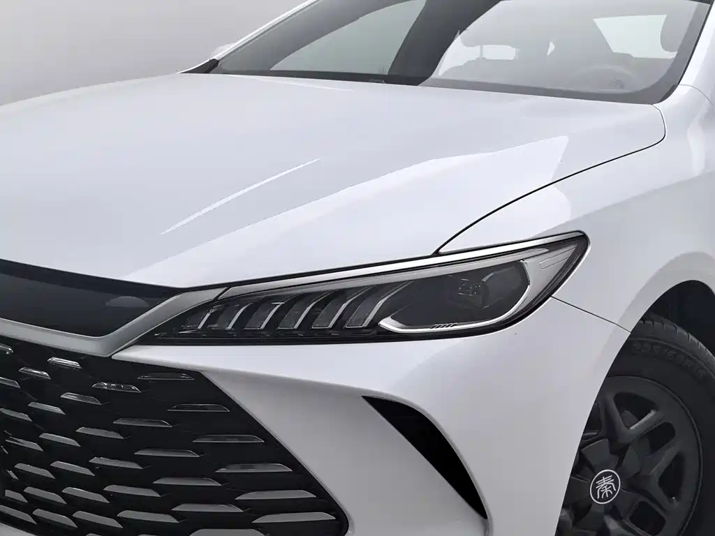 BYD Qin PLUS — фото 7
