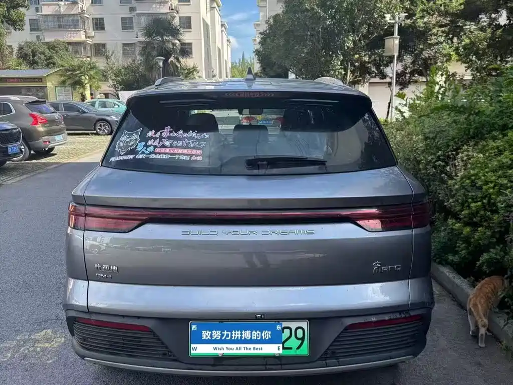 BYD Pro New Energy — фото 3