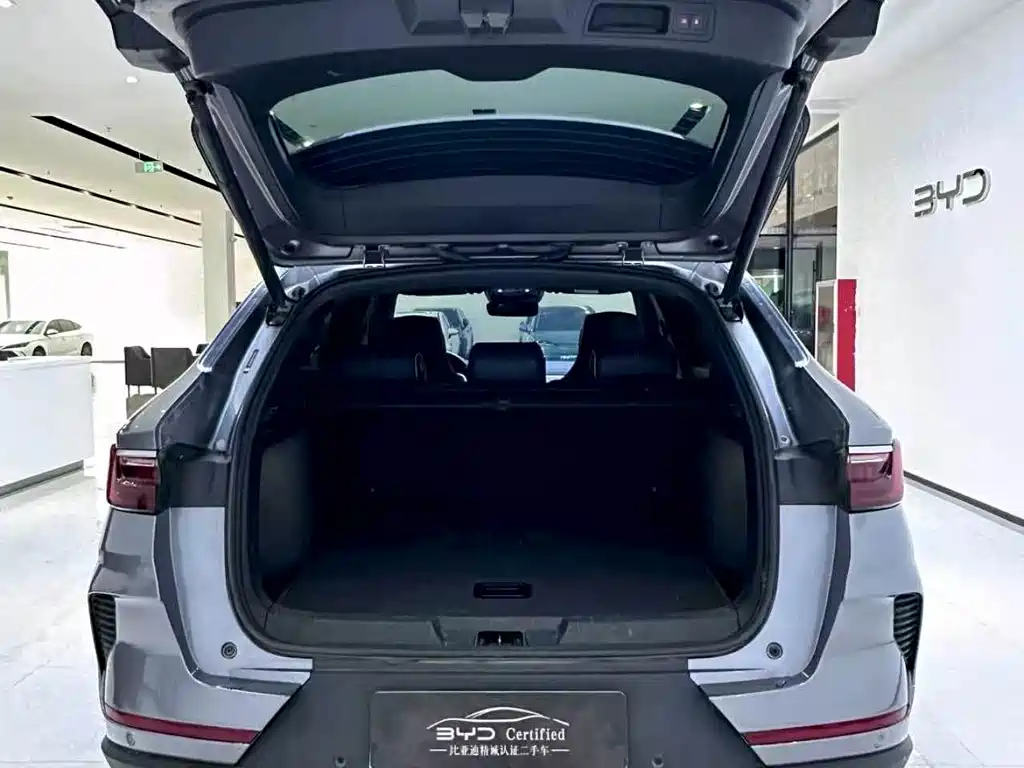 BYD PLUS New Energy — фото 4