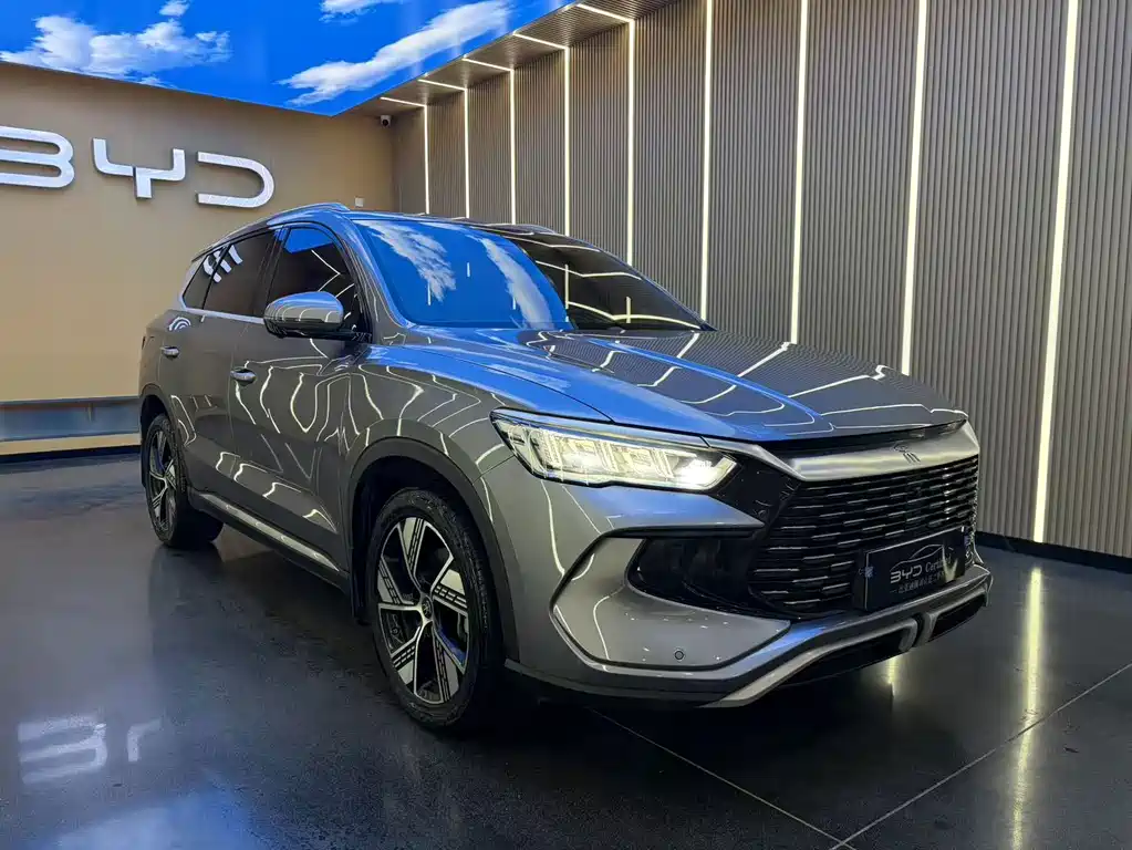 BYD Pro New Energy — фото 3