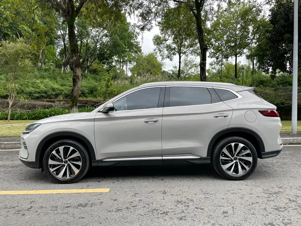 BYD PLUS New Energy — фото 4