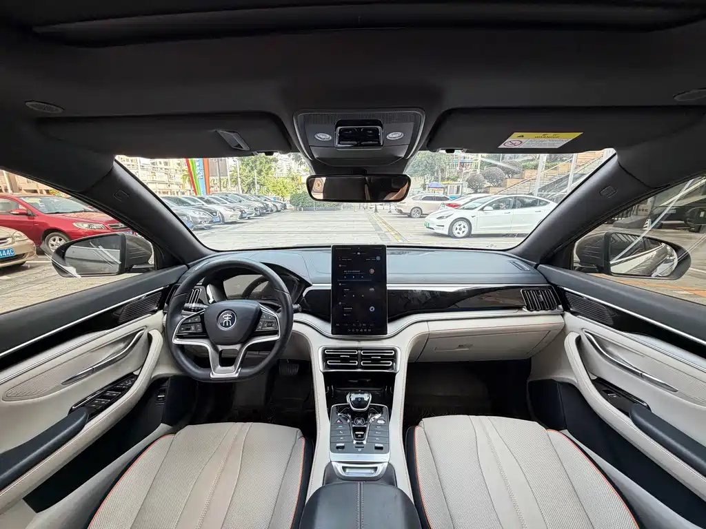 BYD PLUS New Energy — фото 6