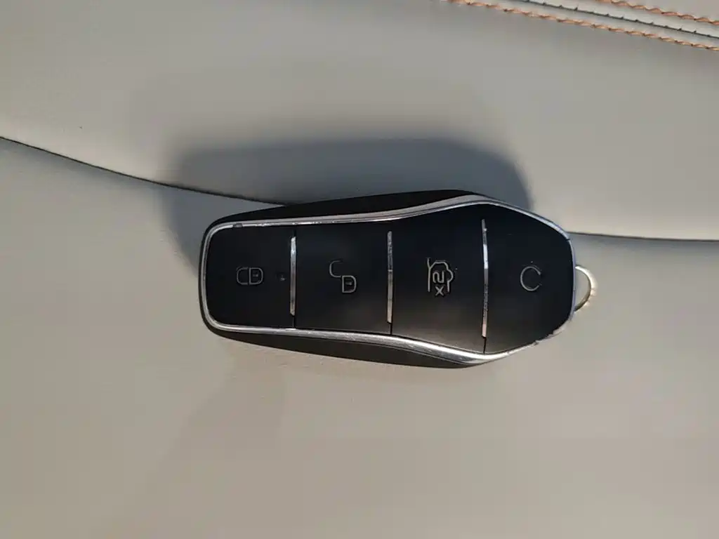 BYD PLUS New Energy — фото 9