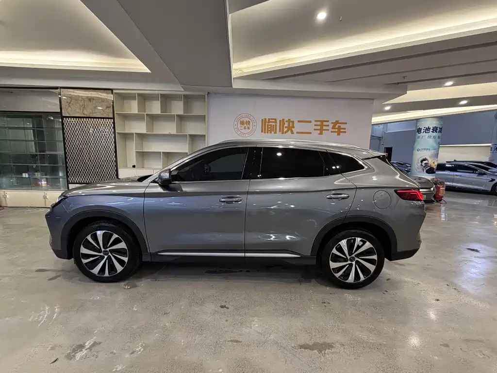 BYD PLUS New Energy — фото 4