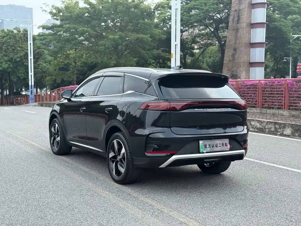 BYD Tang New Energy — фото 15