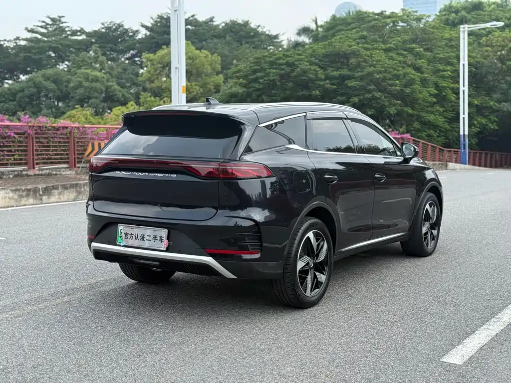 BYD Tang New Energy — фото 17