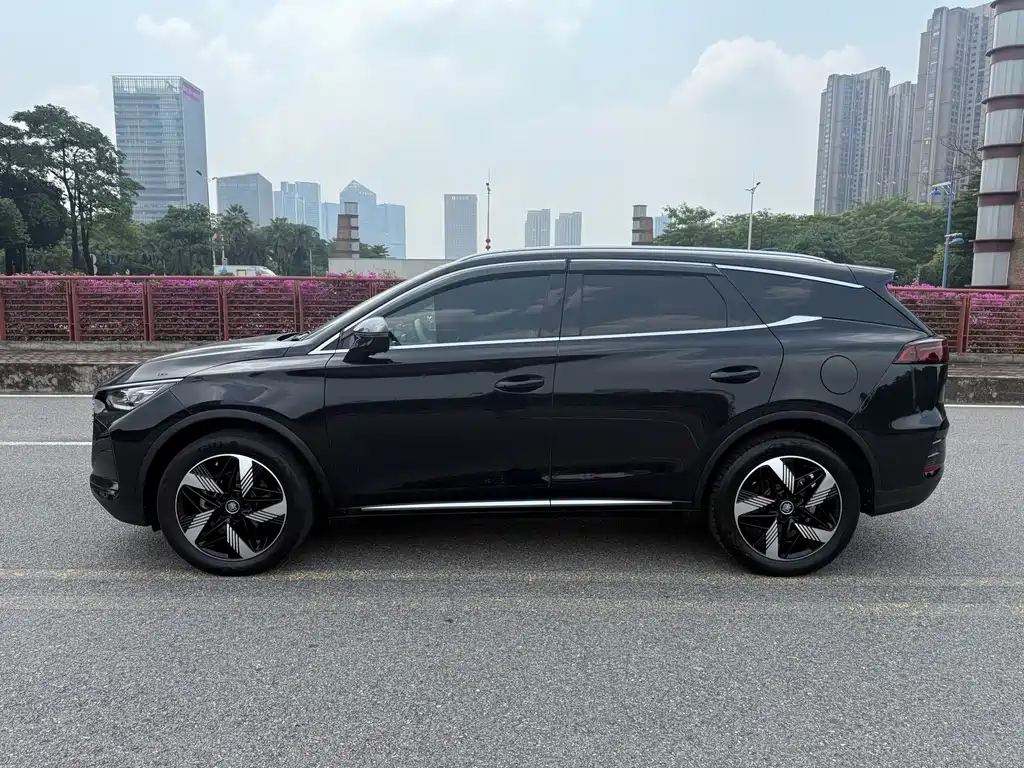 BYD Tang New Energy — фото 18