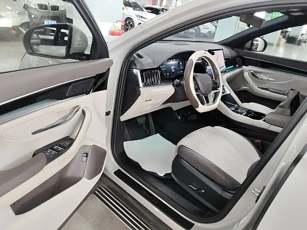 BYD PLUS New Energy — фото 11