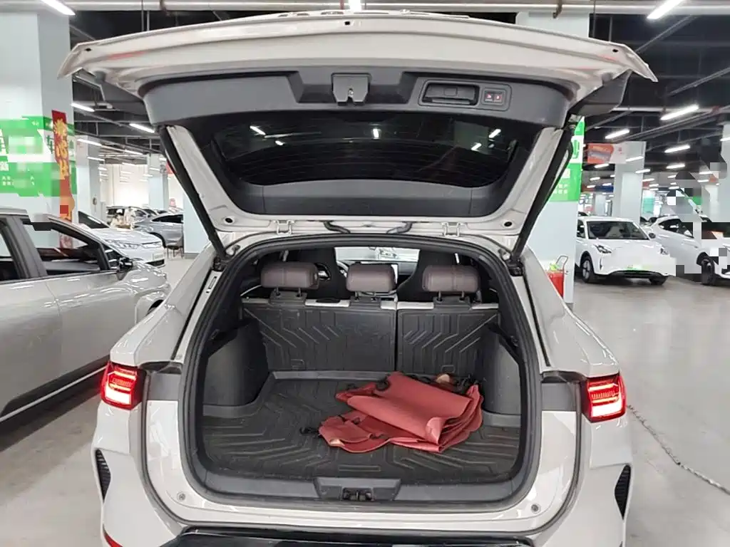 BYD PLUS New Energy — фото 14