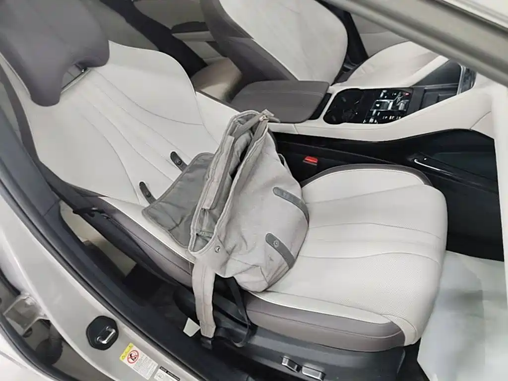 BYD PLUS New Energy — фото 19