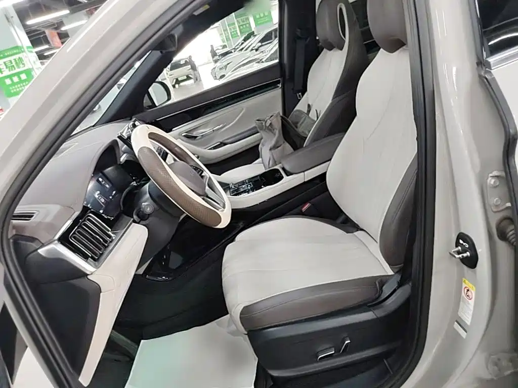 BYD PLUS New Energy — фото 10
