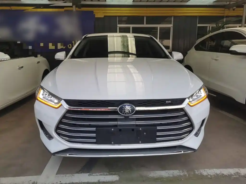 BYD Qin Pro NEV — фото 3