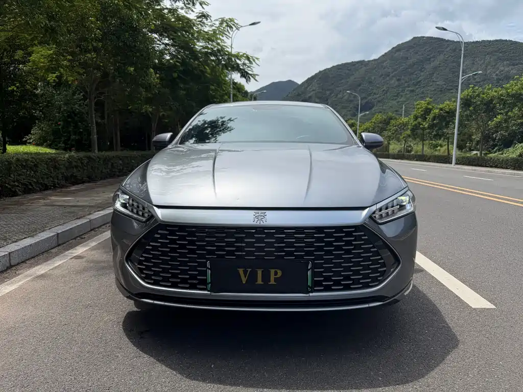 BYD Qin PLUS — фото 2