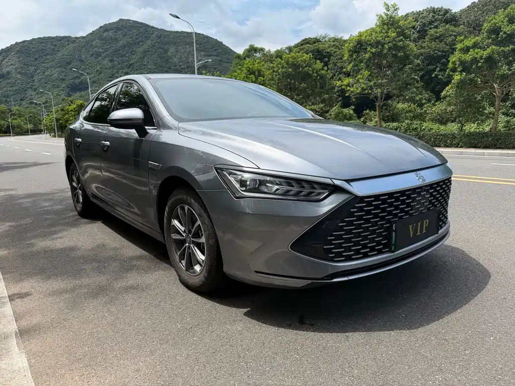 BYD Qin PLUS — фото 3