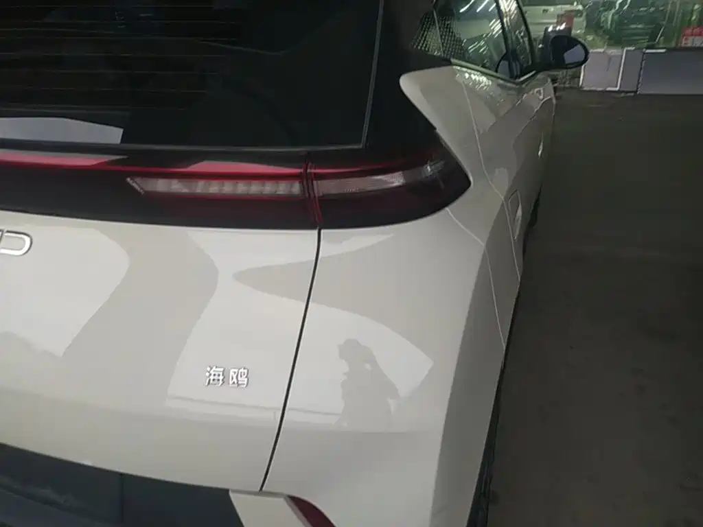 BYD Seagull — фото 8