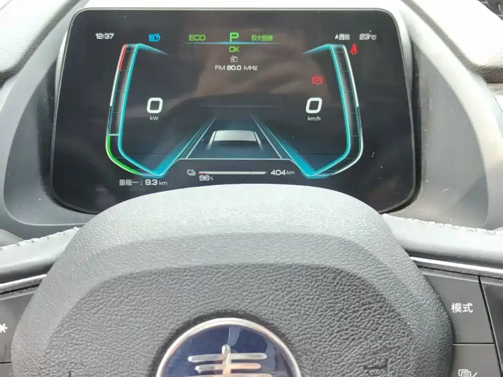 BYD Qin Pro NEV — фото 8