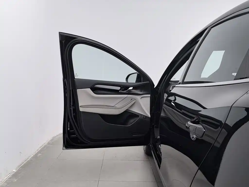 BYD Qin PLUS — фото 8