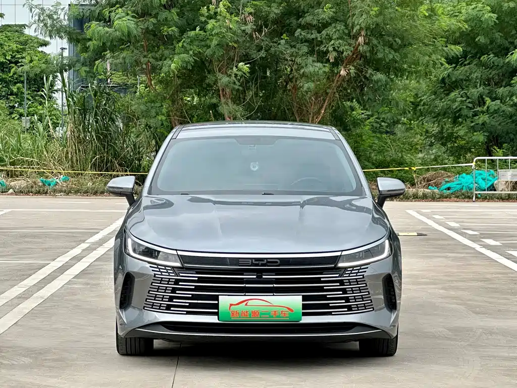 BYD Destroyer 05 — фото 2