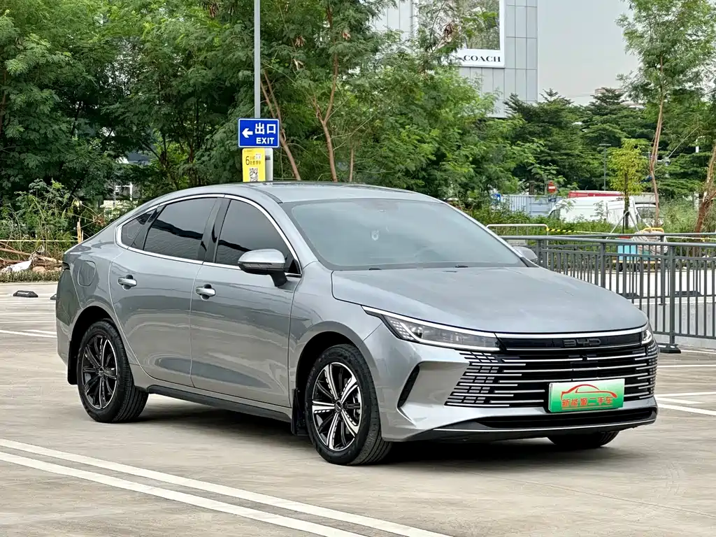 BYD Destroyer 05 — фото 3