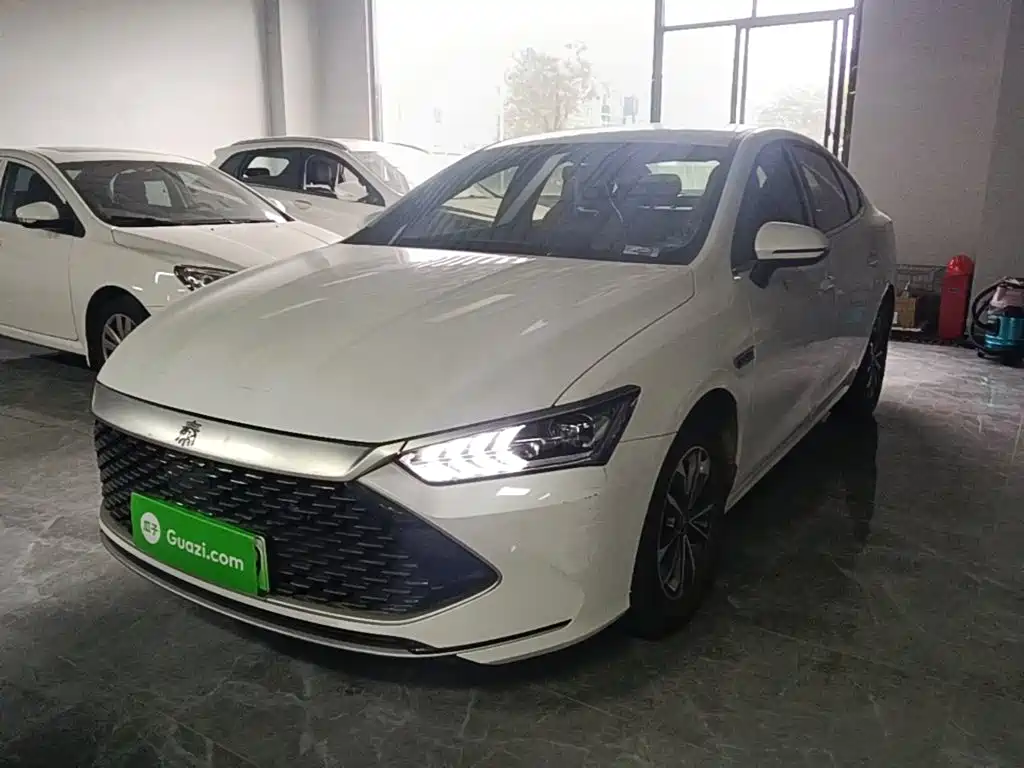 BYD Qin PLUS — фото 2