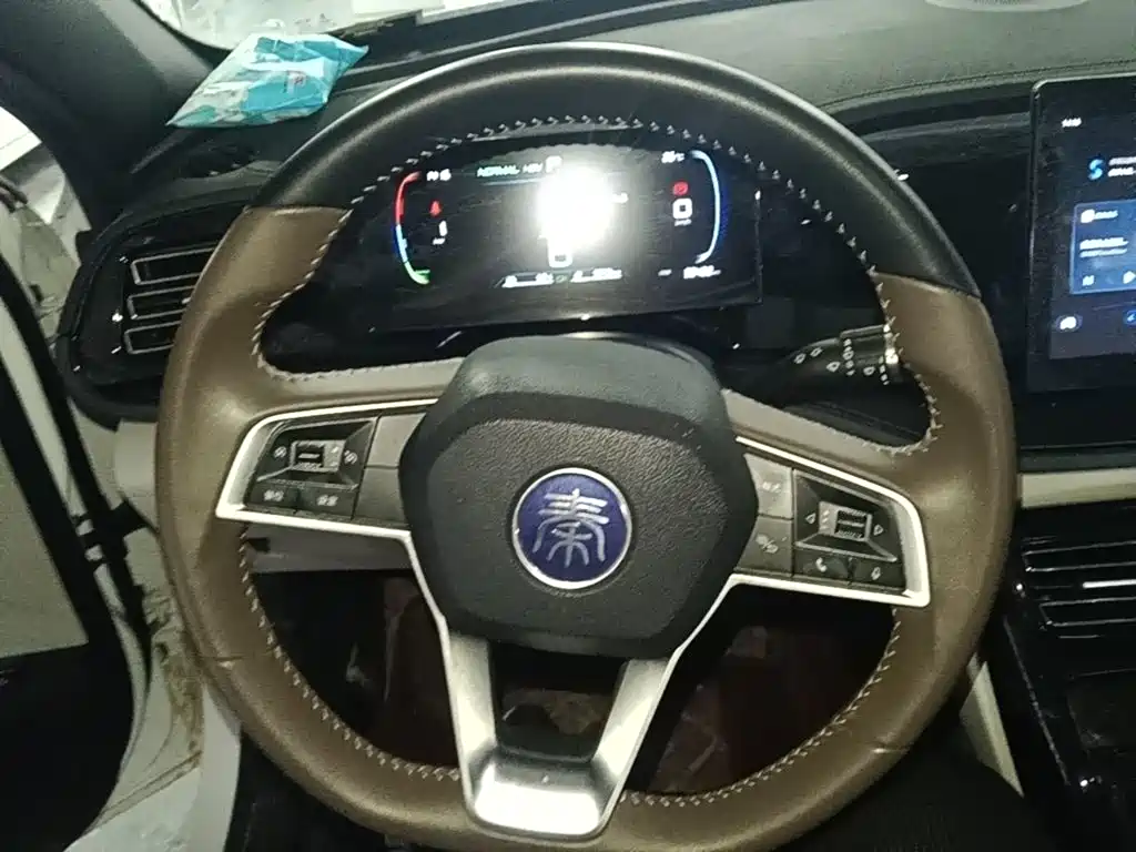 BYD Qin PLUS — фото 11