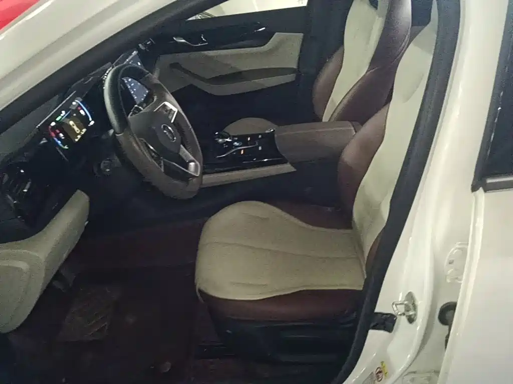 BYD Qin PLUS — фото 15
