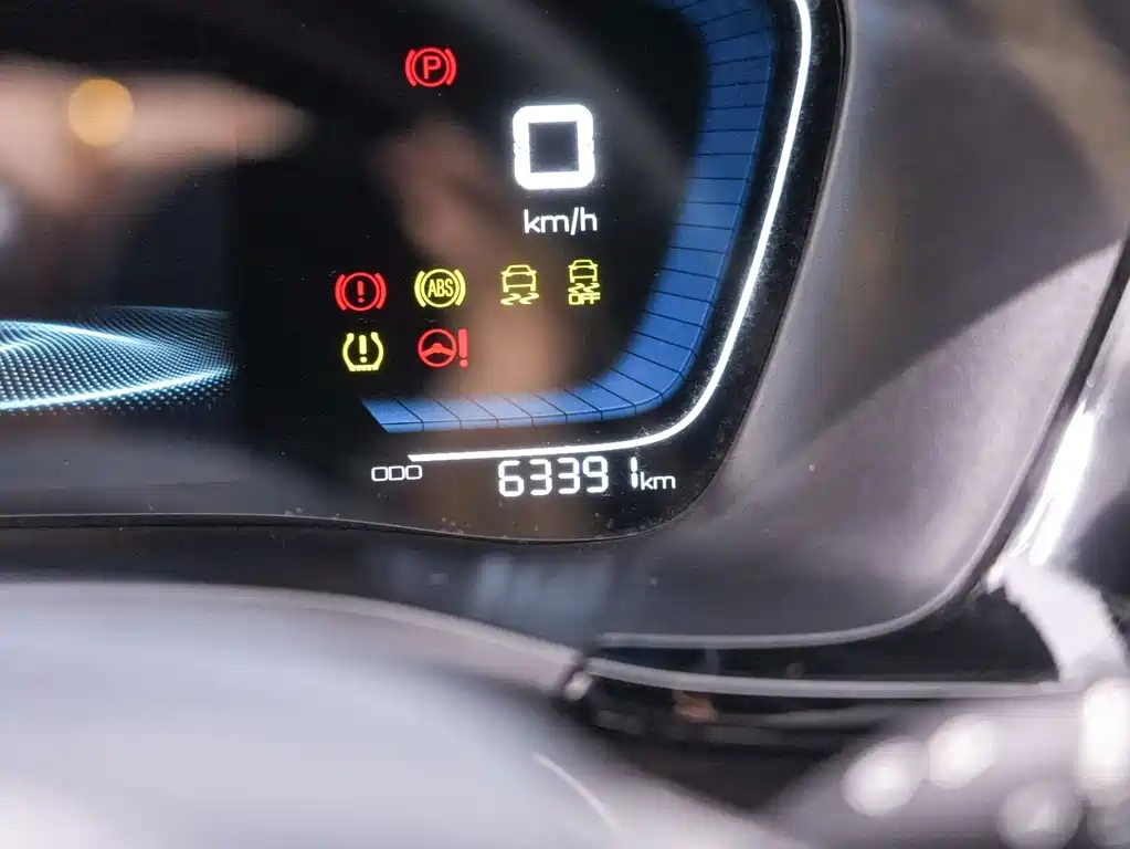 BYD PLUS New Energy — фото 11