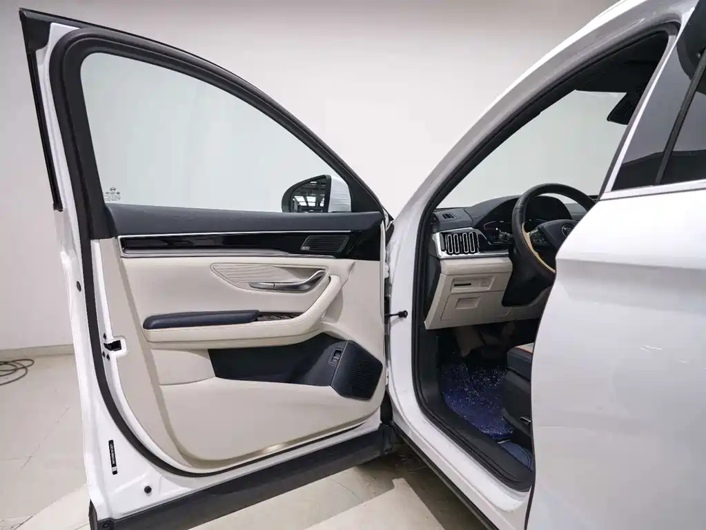 BYD PLUS New Energy — фото 13