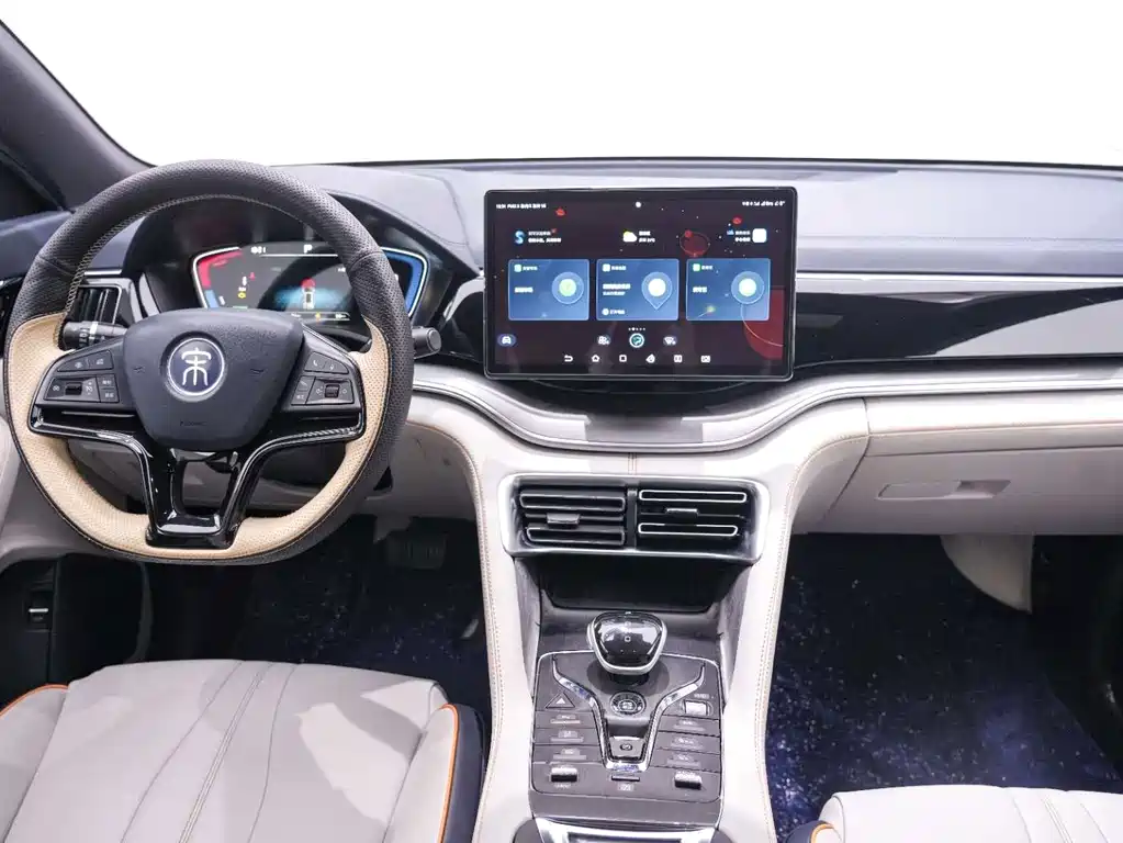BYD PLUS New Energy — фото 14
