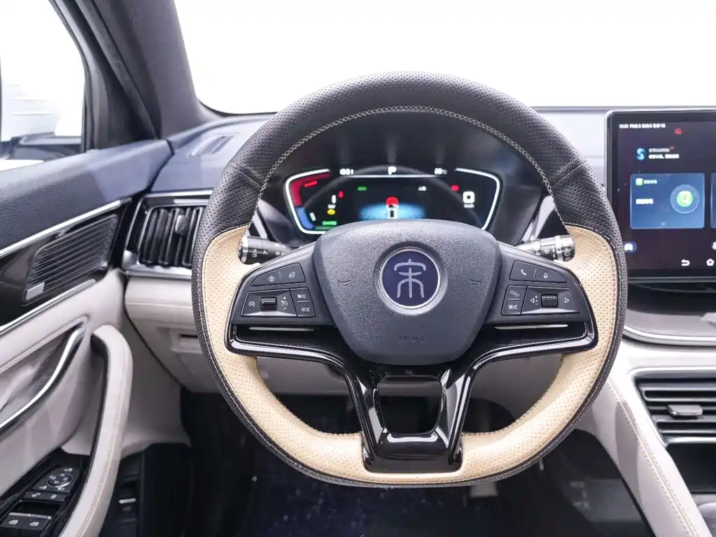 BYD PLUS New Energy — фото 17