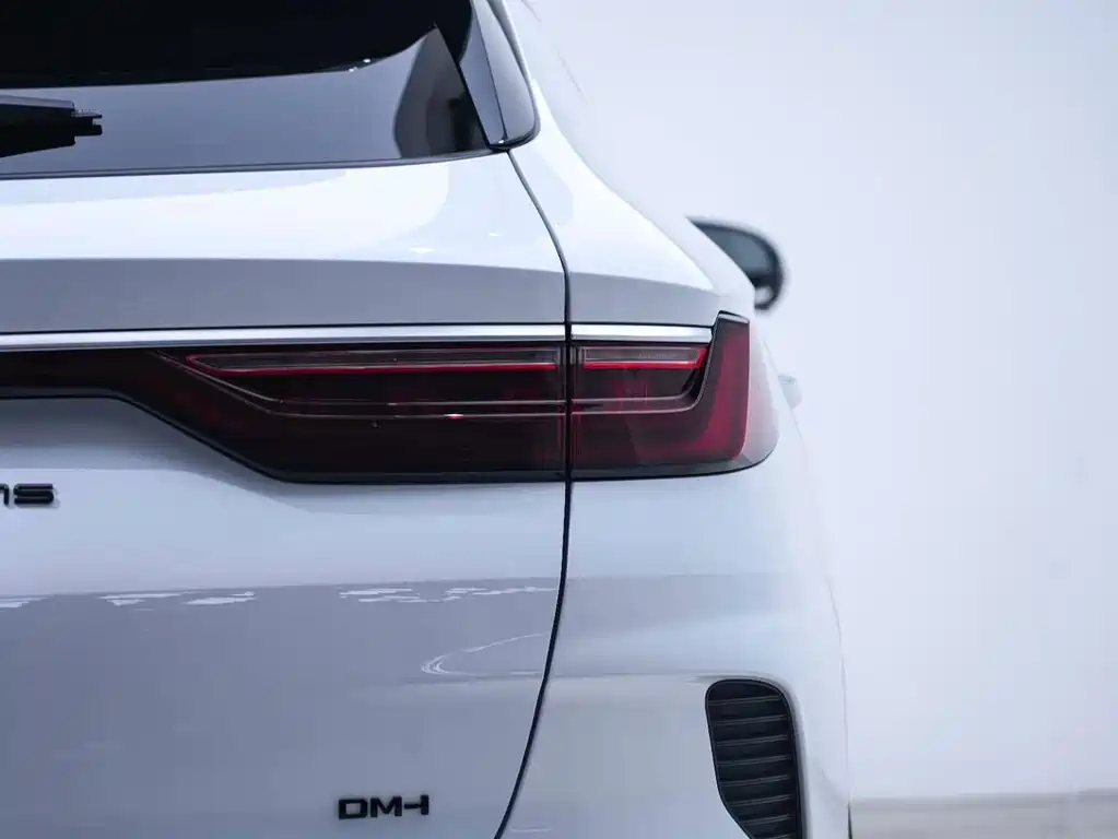 BYD PLUS New Energy — фото 19