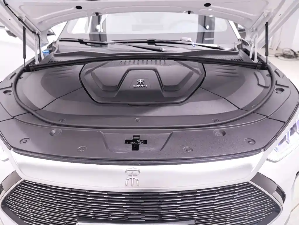 BYD PLUS New Energy — фото 21