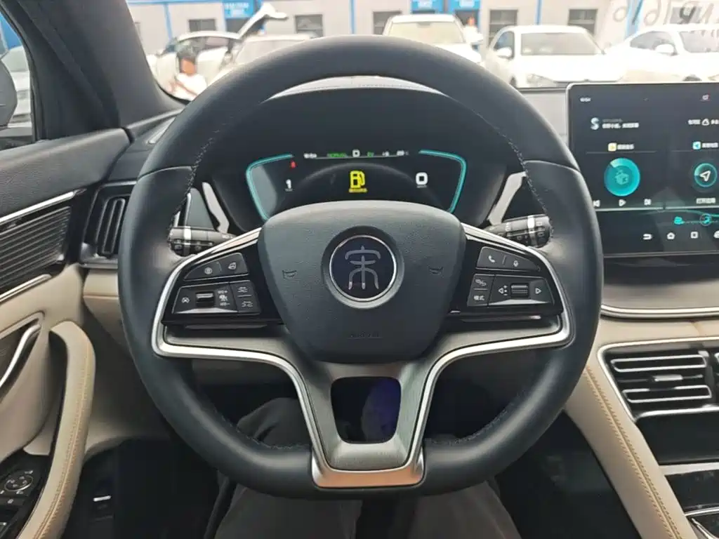 BYD PLUS New Energy — фото 11