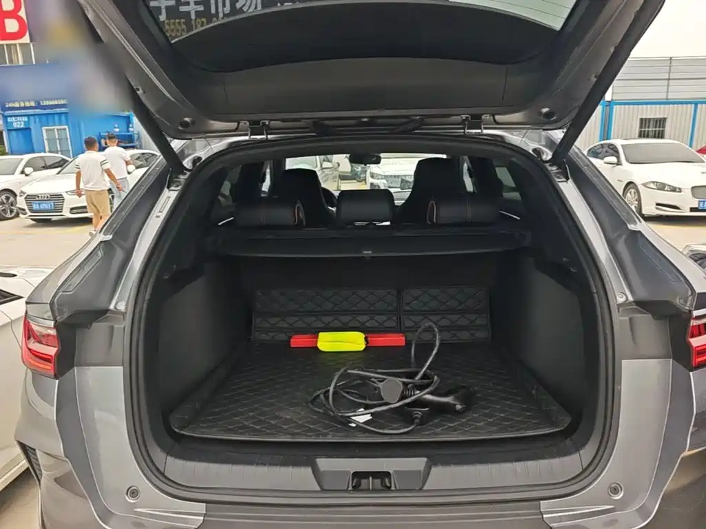 BYD PLUS New Energy — фото 19