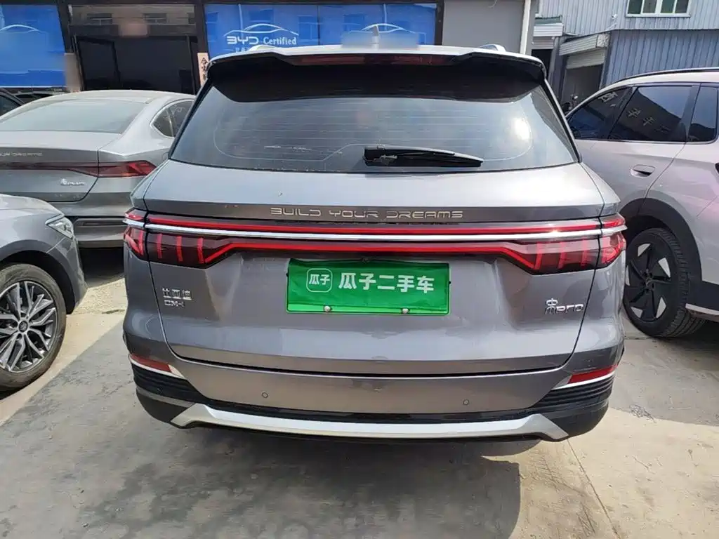 BYD Pro New Energy — фото 6
