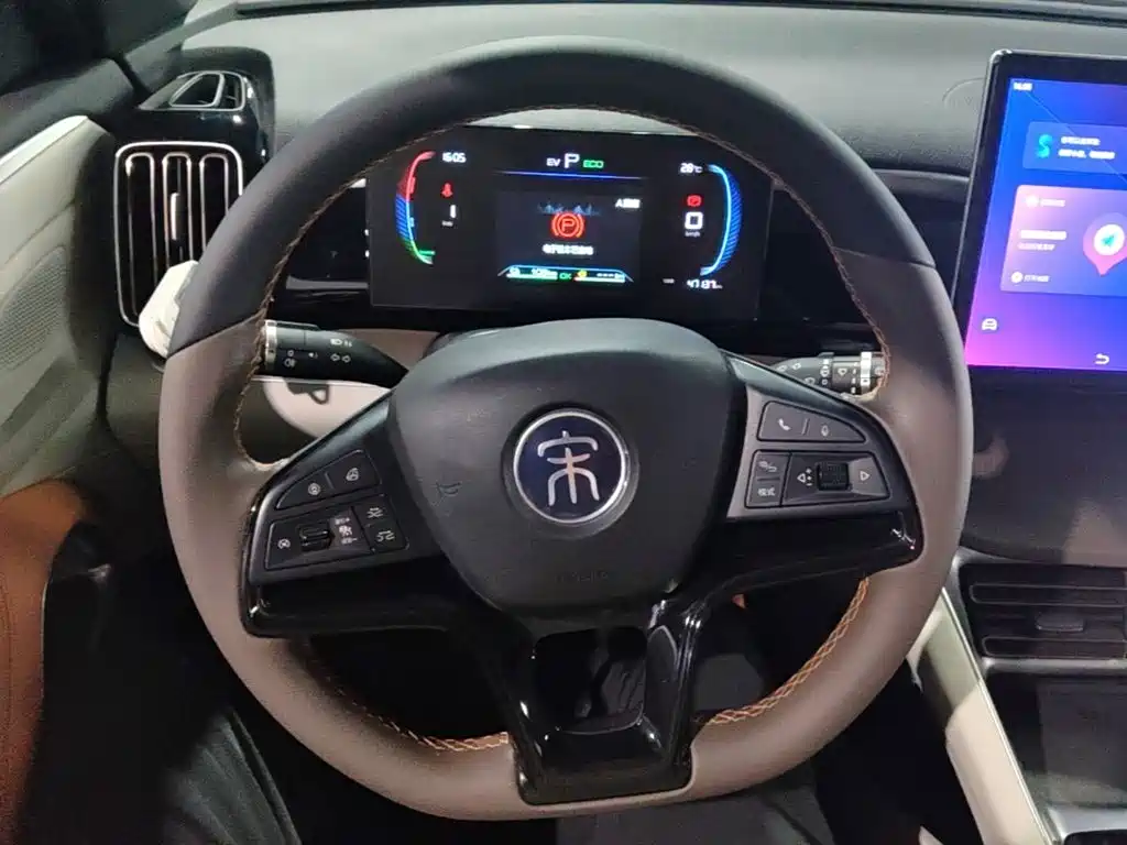 BYD Pro New Energy — фото 11