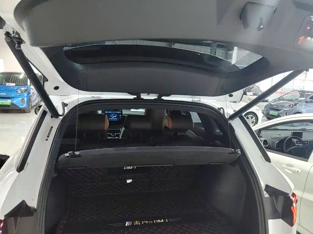 BYD Pro New Energy — фото 19