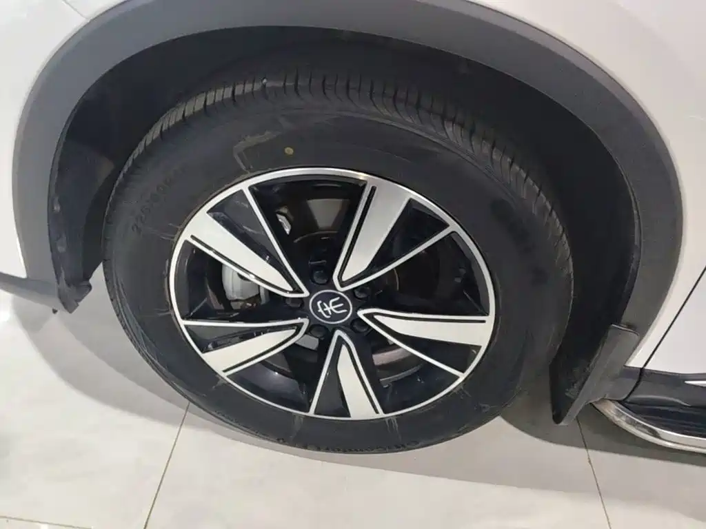 BYD Pro New Energy — фото 23