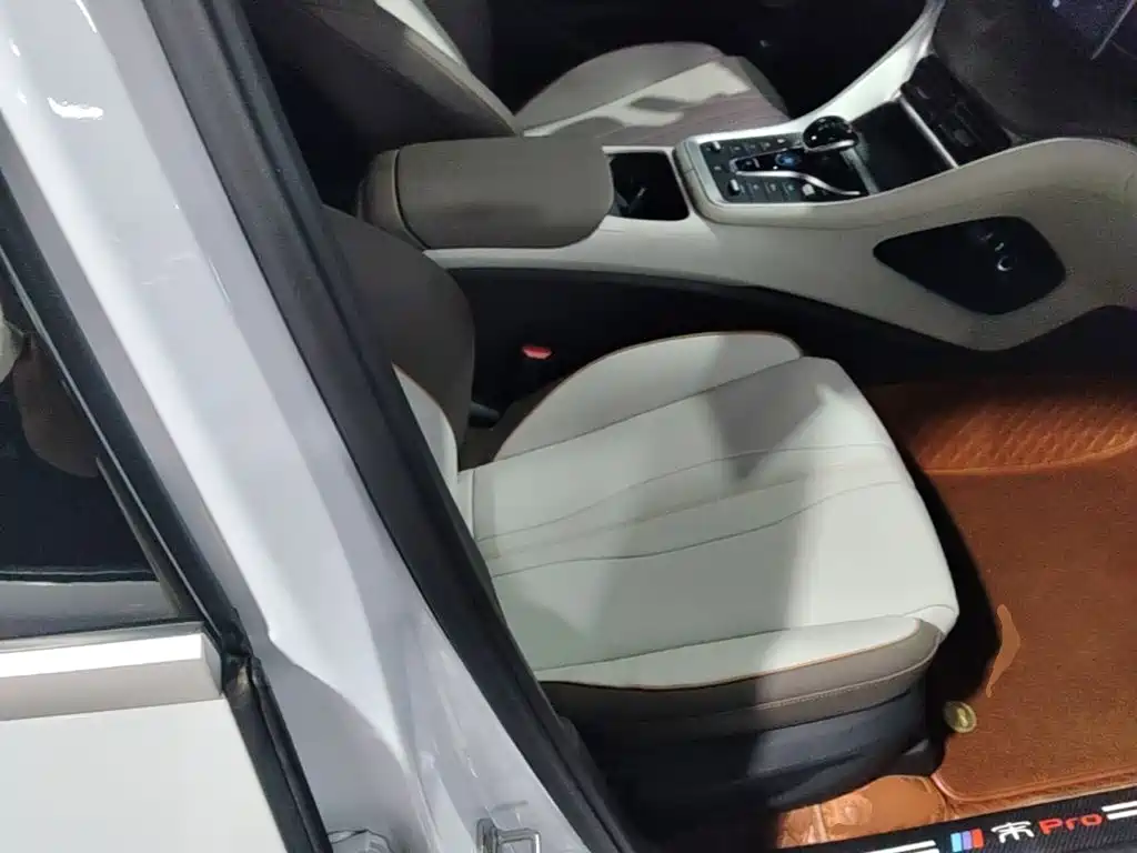 BYD Pro New Energy — фото 25