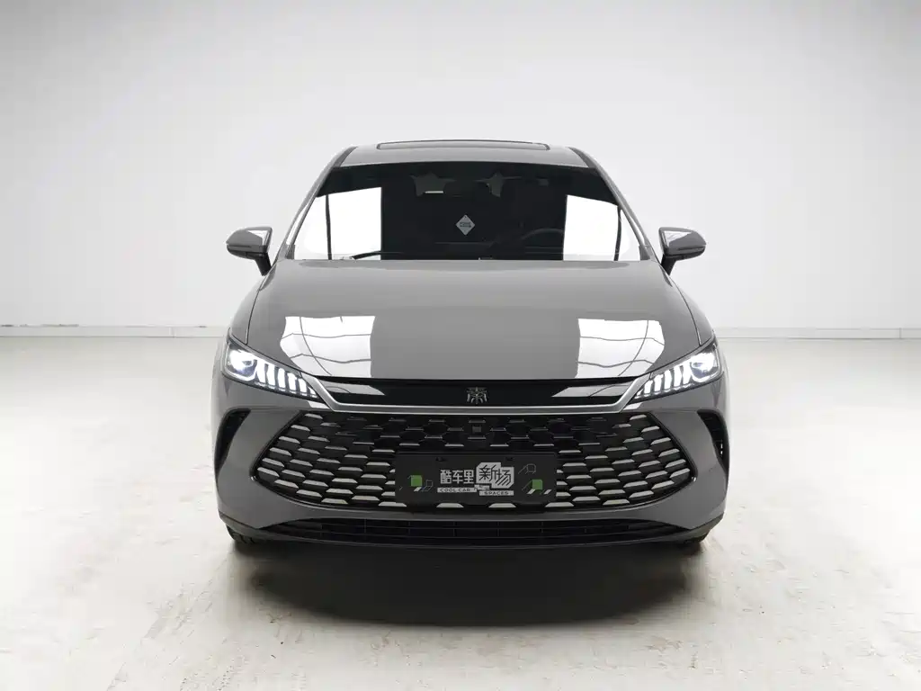 BYD Qin PLUS — фото 2