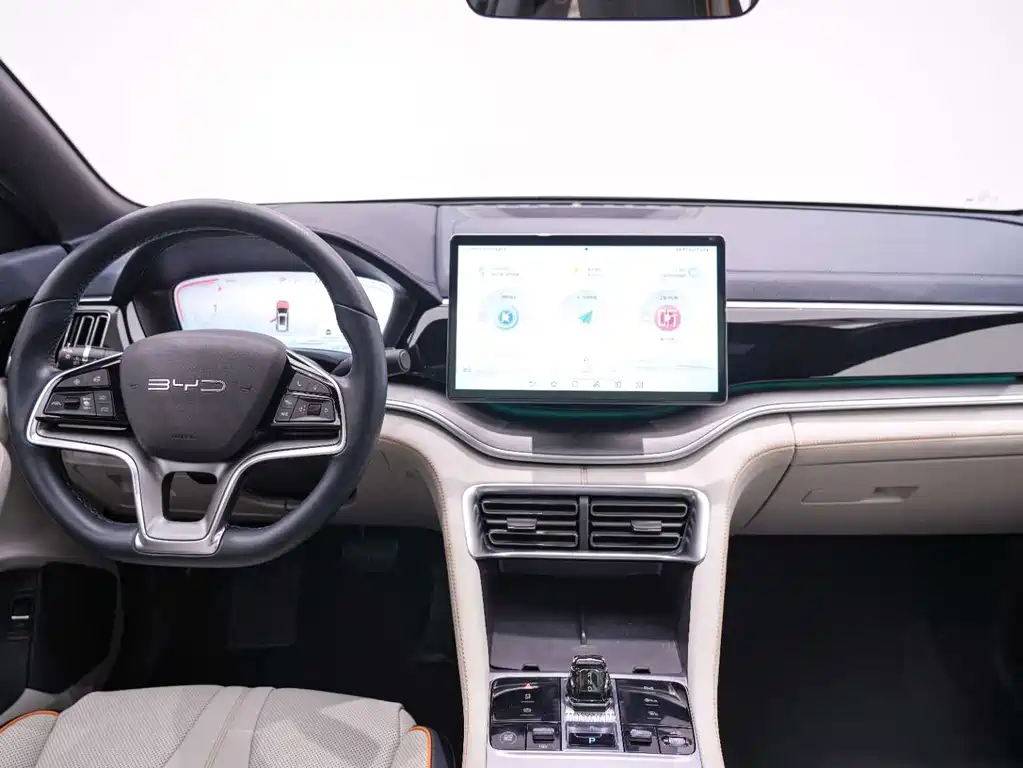 BYD PLUS New Energy — фото 14