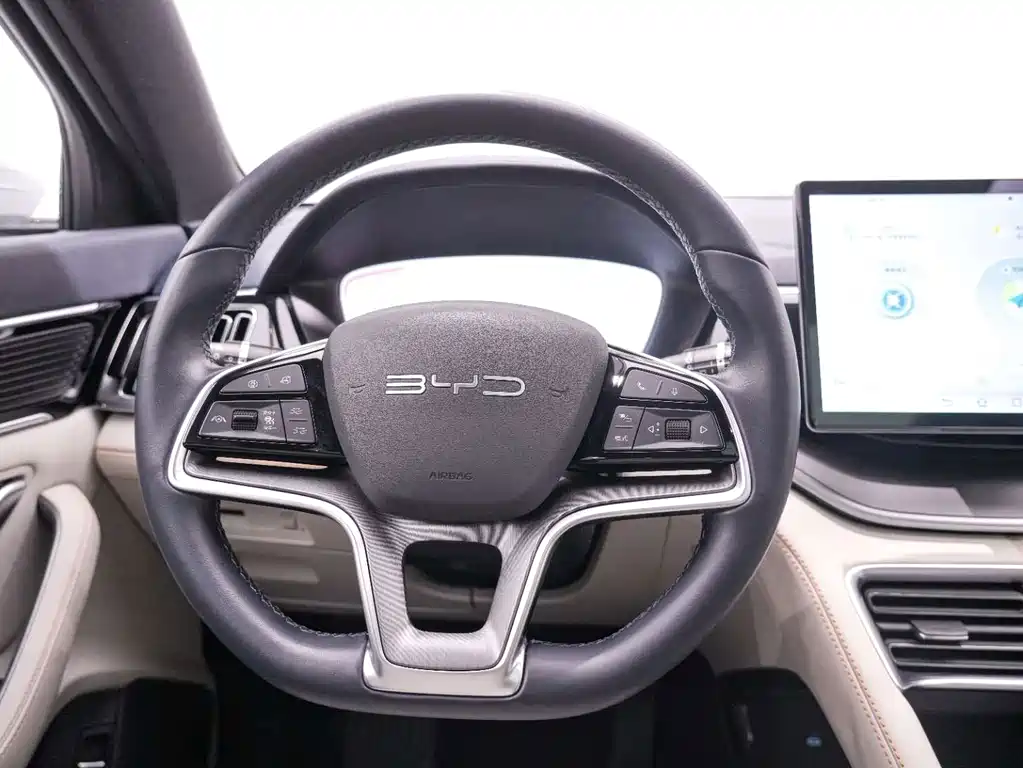 BYD PLUS New Energy — фото 17