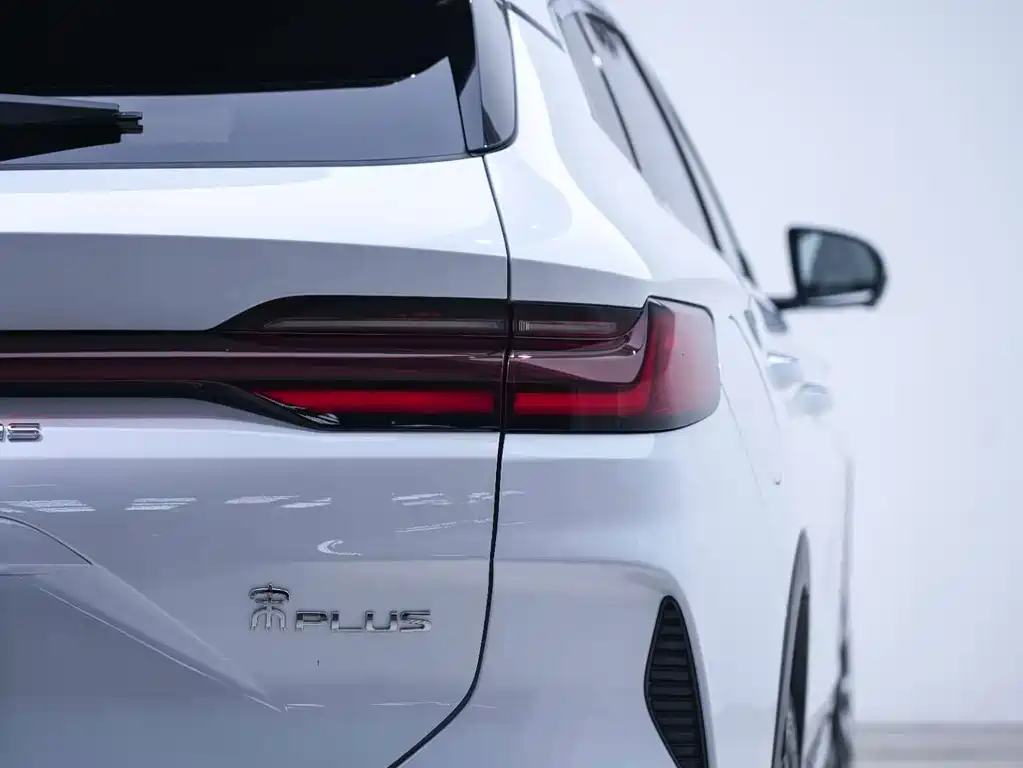 BYD PLUS New Energy — фото 19
