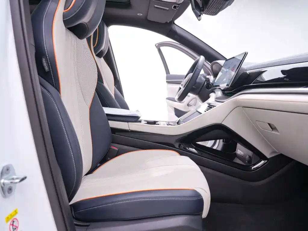 BYD PLUS New Energy — фото 24