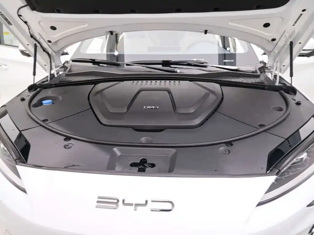 BYD PLUS New Energy — фото 26