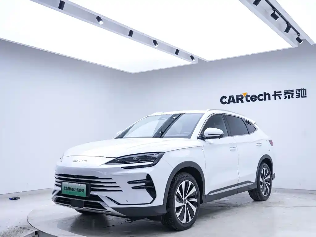 BYD PLUS New Energy — фото 5