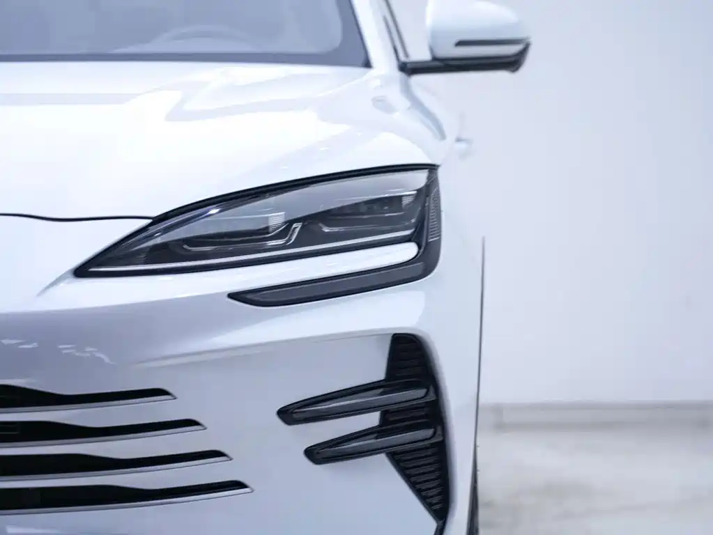 BYD PLUS New Energy — фото 7